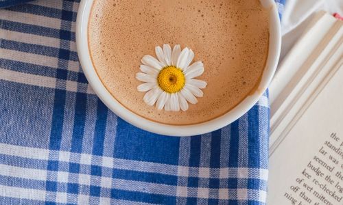 A person reading a book with a warm cup of herbal tea beside them.